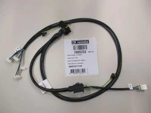 Kabel mit mehreren Anschlüssen für Gasventil, Ventilator und Trafo, gekennzeichnete Drähte, Remeha-Label sichtbar.